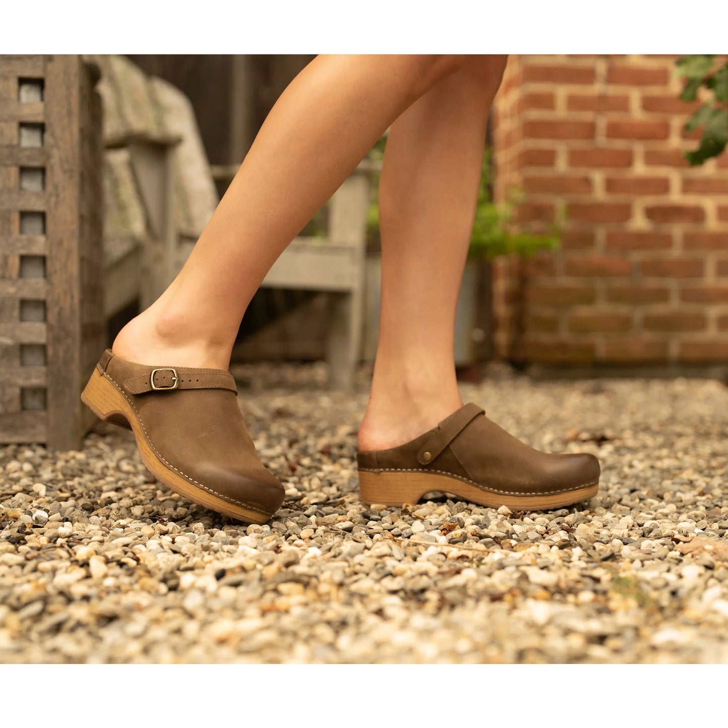 Dansko Berry Mushroom Burnished Nubuck